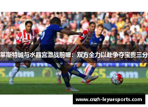 莱斯特城与水晶宫激战前瞻:双方全力以赴争夺宝贵三分 莱斯特城与水晶宫激战前瞻:双方全力以赴争夺宝贵三分