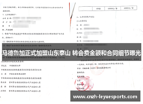 马德鲁加正式加盟山东泰山 转会费金额和合同细节曝光